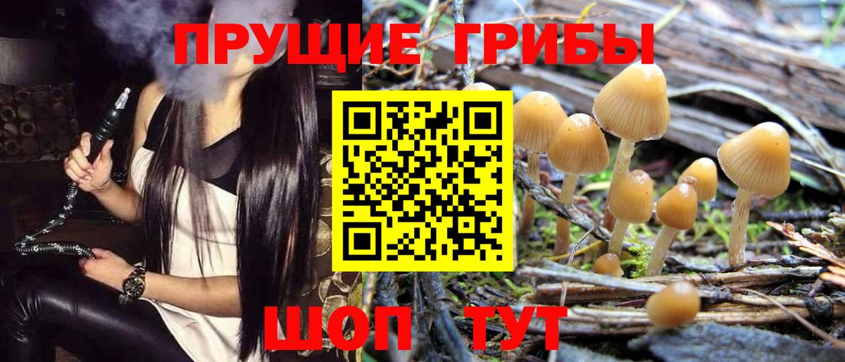 Кашира  Галлюциногенные грибы мицелий  Вход с VPN 